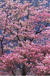 动视封禁超过6.5万名《战区》和《MW3》作弊者